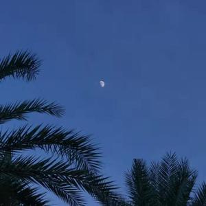 我和小妺在卫生间做爰
