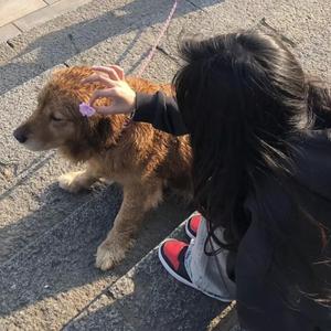 我和小妺在卫生间做爰
