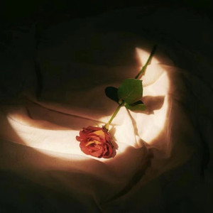 我和小妺在卫生间做爰
